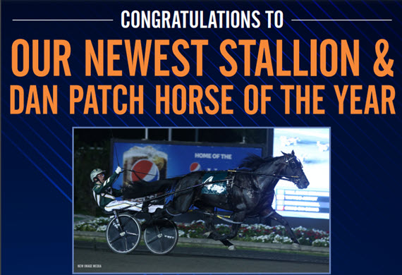 Dan Patch Horse Of The Year